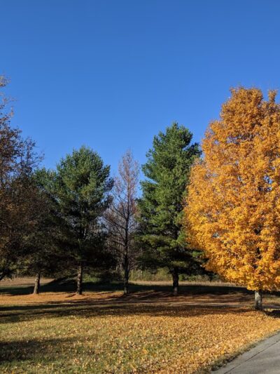 Joelton Community Club Park - Joelton, TN