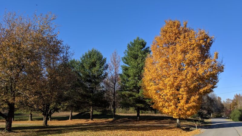 Joelton Community Club Park - Joelton, TN