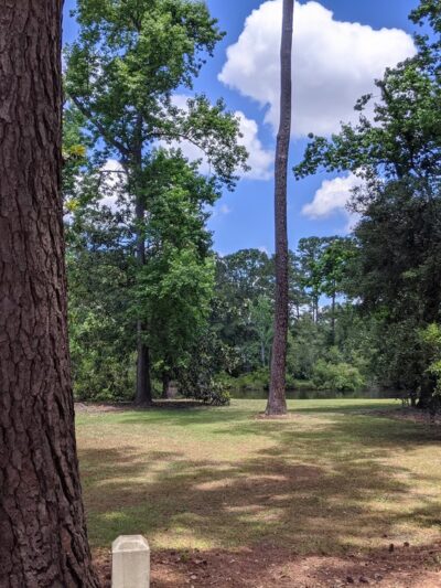John's Island Park - Johns Island, SC