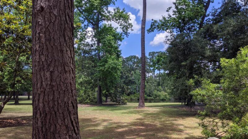 John's Island Park - Johns Island, SC