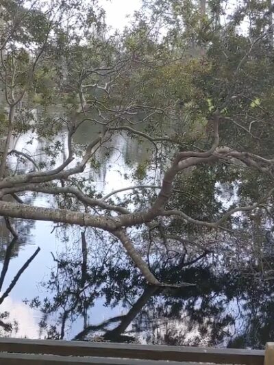 John's Island Park - Johns Island, SC