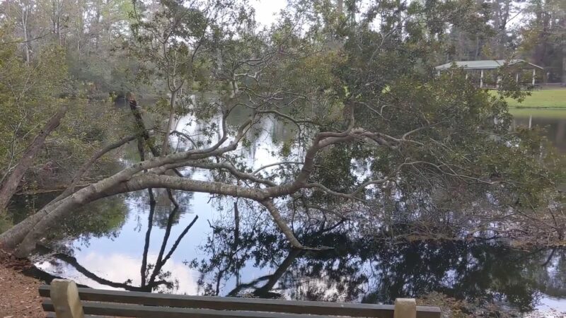 John's Island Park - Johns Island, SC
