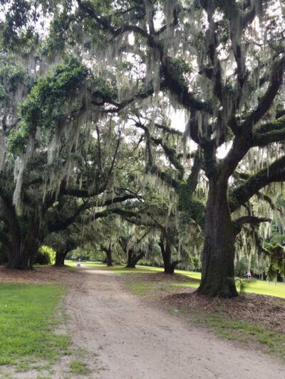 Johns Island County Park - Mullet Hall - Johns Island, SC