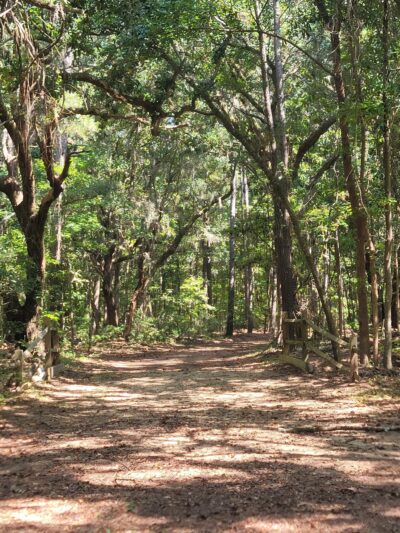 Johns Island County Park - Mullet Hall - Johns Island, SC