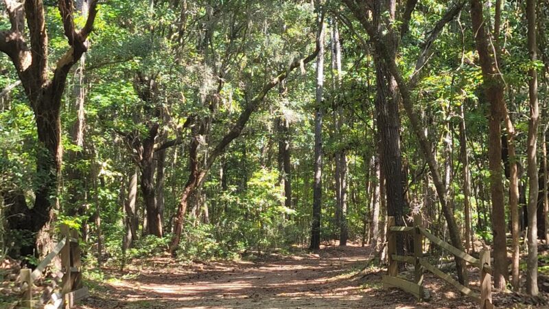Johns Island County Park - Mullet Hall - Johns Island, SC