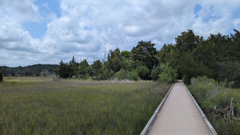 Stono River County Park - Johns Island, SC