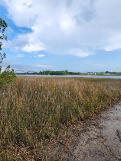 Stono River County Park - Johns Island, SC
