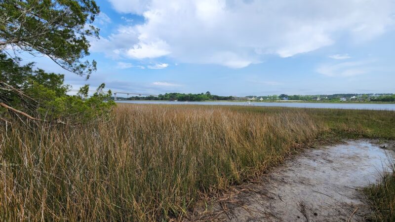 Stono River County Park - Johns Island, SC