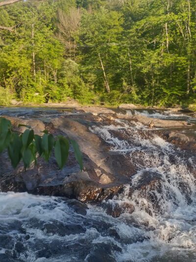 Beard Park - Johnson, VT