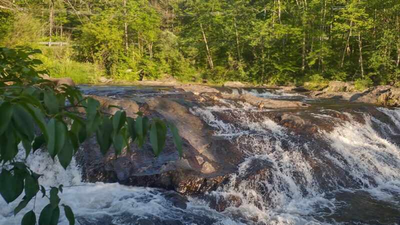 Beard Park - Johnson, VT