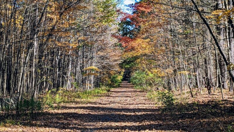 Johnsonburg Area Knothole Recreational Park - Johnsonburg, PA