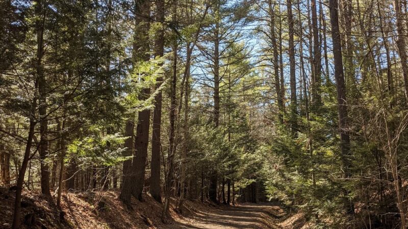 Johnsonburg Area Knothole Recreational Park - Johnsonburg, PA