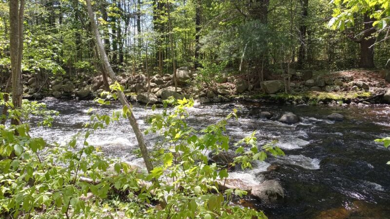 Johnsonburg Area Knothole Recreational Park - Johnsonburg, PA