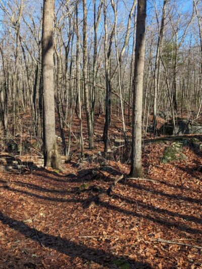 Snake Den State Park Trailhead Parking - Johnston, RI