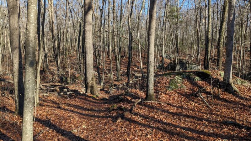 Snake Den State Park Trailhead Parking - Johnston, RI
