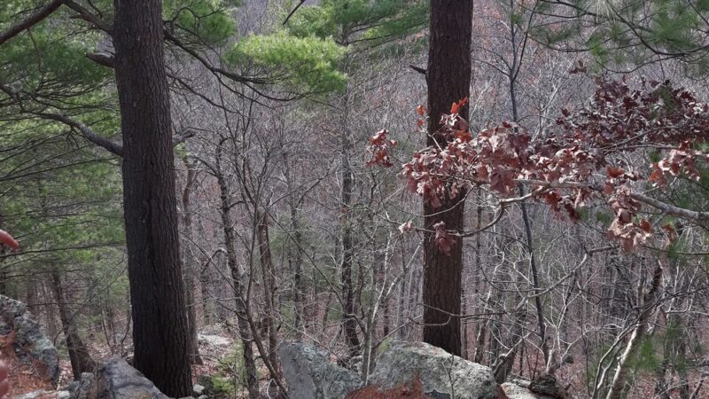 Snake Den State Park Trailhead Parking - Johnston, RI