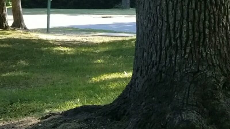 West Park - Joliet, IL