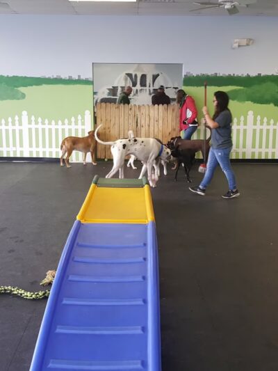 BrightDogs DogPark and DayCare - Joliet, IL