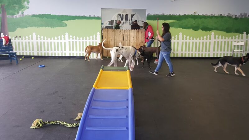BrightDogs DogPark and DayCare - Joliet, IL