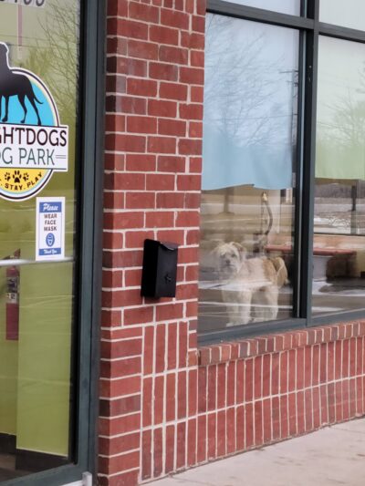 BrightDogs DogPark and DayCare - Joliet, IL