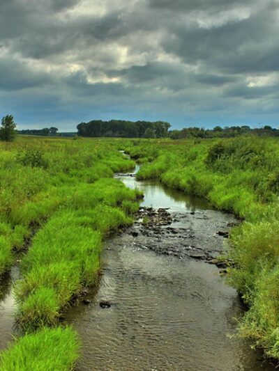 Hadley Valley - Gougar Road Access - Joliet, IL