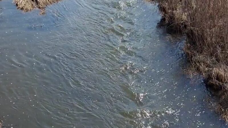 Hadley Valley - Gougar Road Access - Joliet, IL