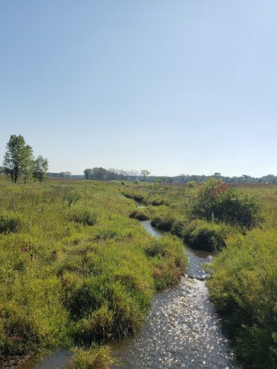 Hadley Valley - Gougar Road Access - Joliet, IL