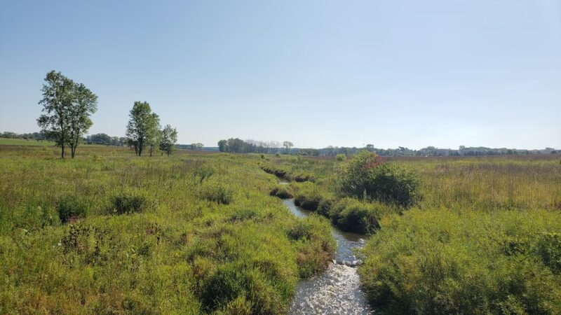 Hadley Valley - Gougar Road Access - Joliet, IL