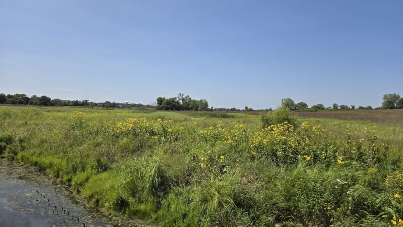 Hadley Valley - Gougar Road Access - Joliet, IL