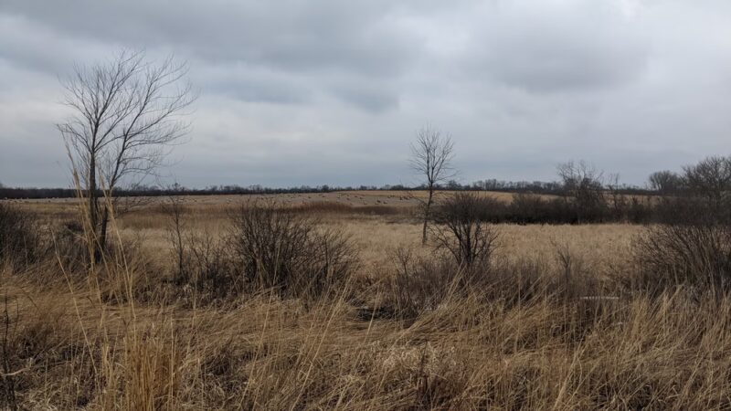 Hadley Valley - Gougar Road Access - Joliet, IL