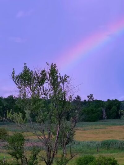 Hadley Valley - Route 6 Access - Joliet, IL