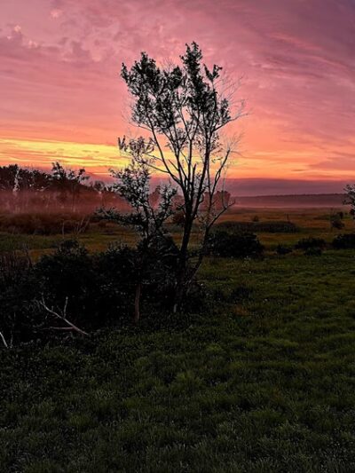 Hadley Valley - Route 6 Access - Joliet, IL