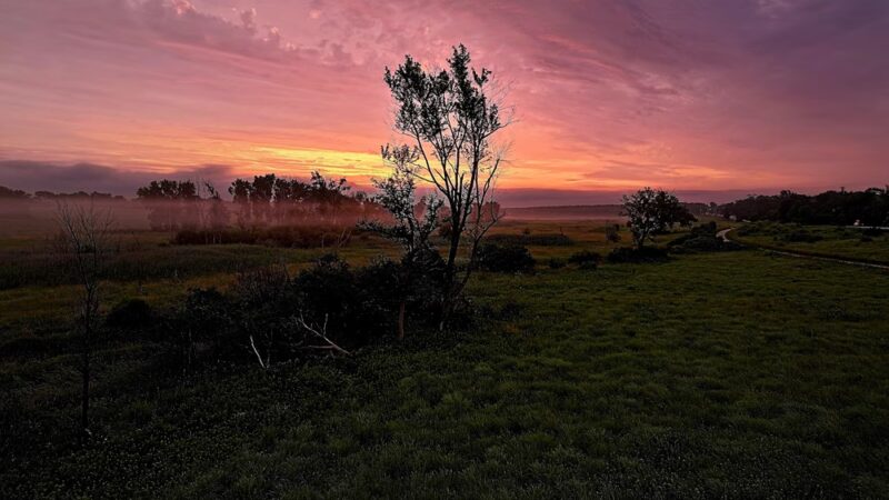 Hadley Valley - Route 6 Access - Joliet, IL