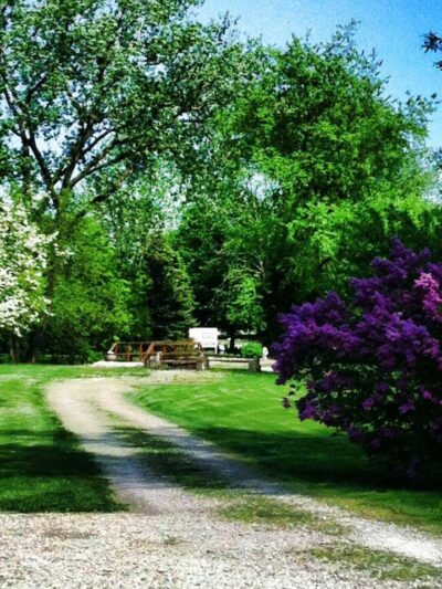 Kozy Kennels - Joliet, IL