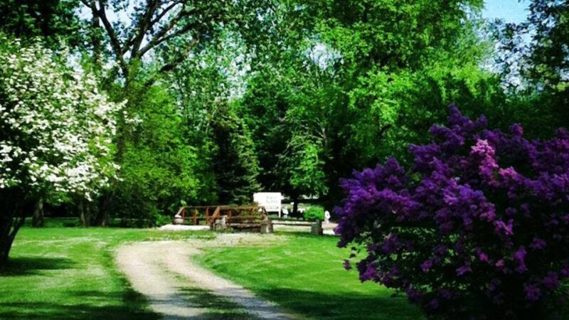 Kozy Kennels - Joliet, IL