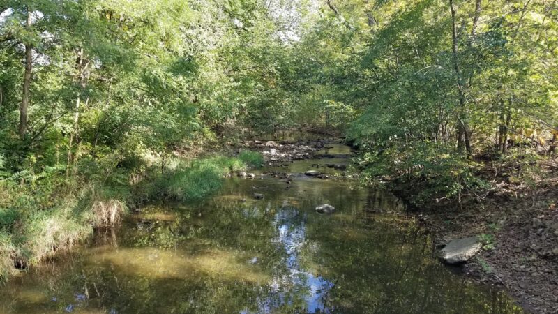 Nowell Park - Joliet, IL