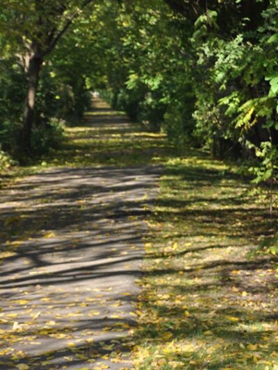 Old Plank Road Trail - Washington Street Access - Joliet, IL
