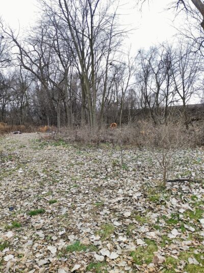 Osgood Park - Joliet, IL