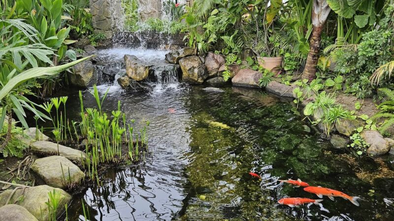 Pilcher Park Nature Center - Joliet, IL
