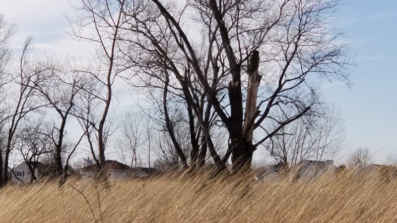 Rock Run Preserve - Paul V. Nichols Access - Joliet, IL