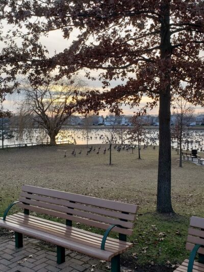 Wexford Park - Joliet, IL