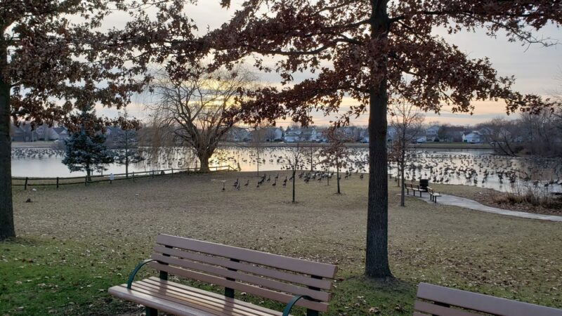 Wexford Park - Joliet, IL