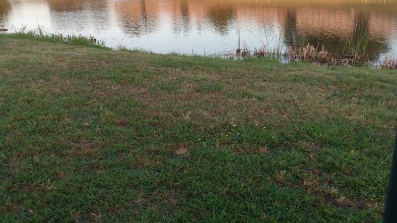 Jones Park - Jones, OK