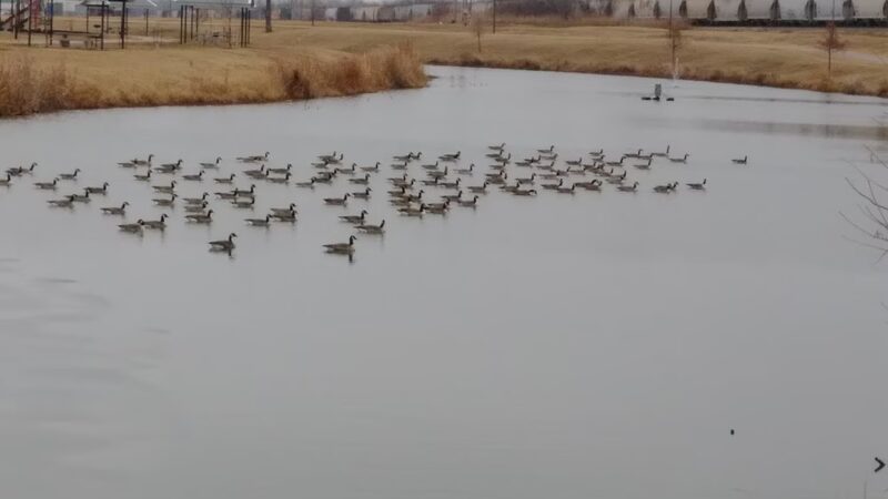 Jones Park - Jones, OK