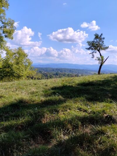 Town of Jonesborough Park - Jonesborough, TN