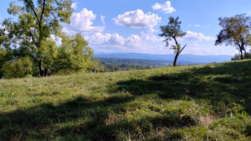 Town of Jonesborough Park - Jonesborough, TN