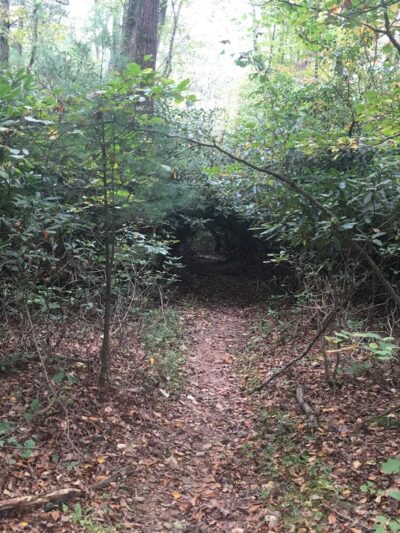 Trout Run Trailhead parking - Jonestown, PA