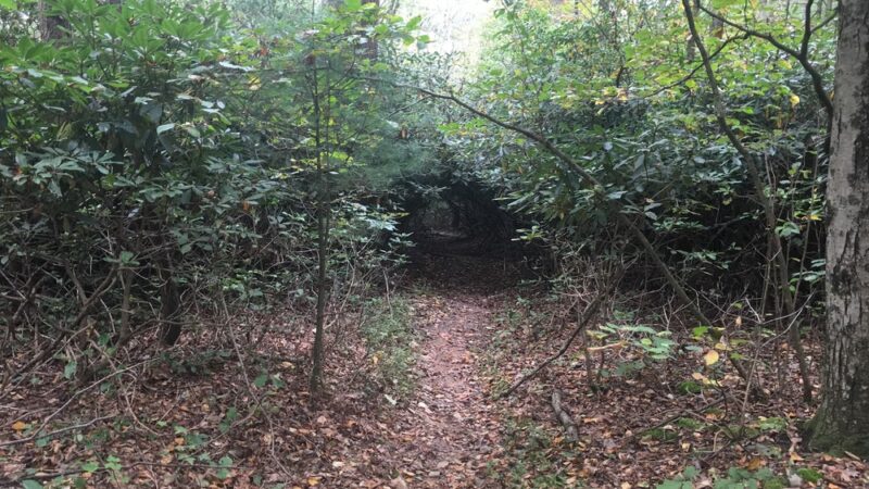 Trout Run Trailhead parking - Jonestown, PA