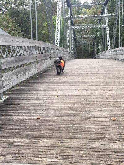 Trout Run Trailhead parking - Jonestown, PA