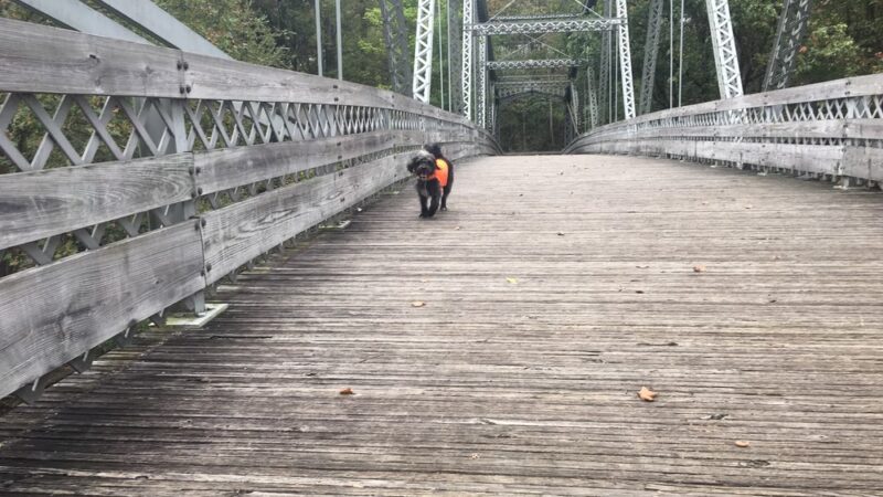Trout Run Trailhead parking - Jonestown, PA